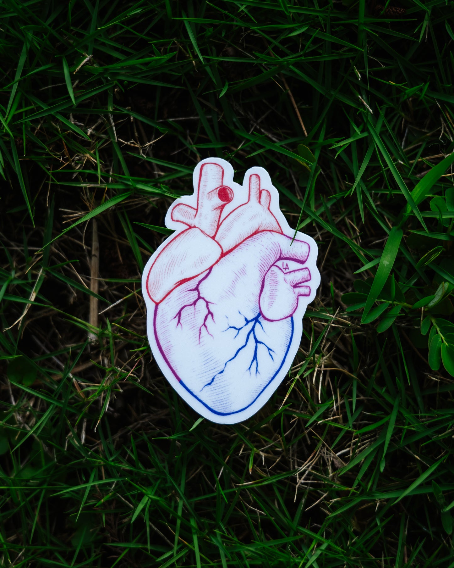 Bisexual Pride Heart Sticker
