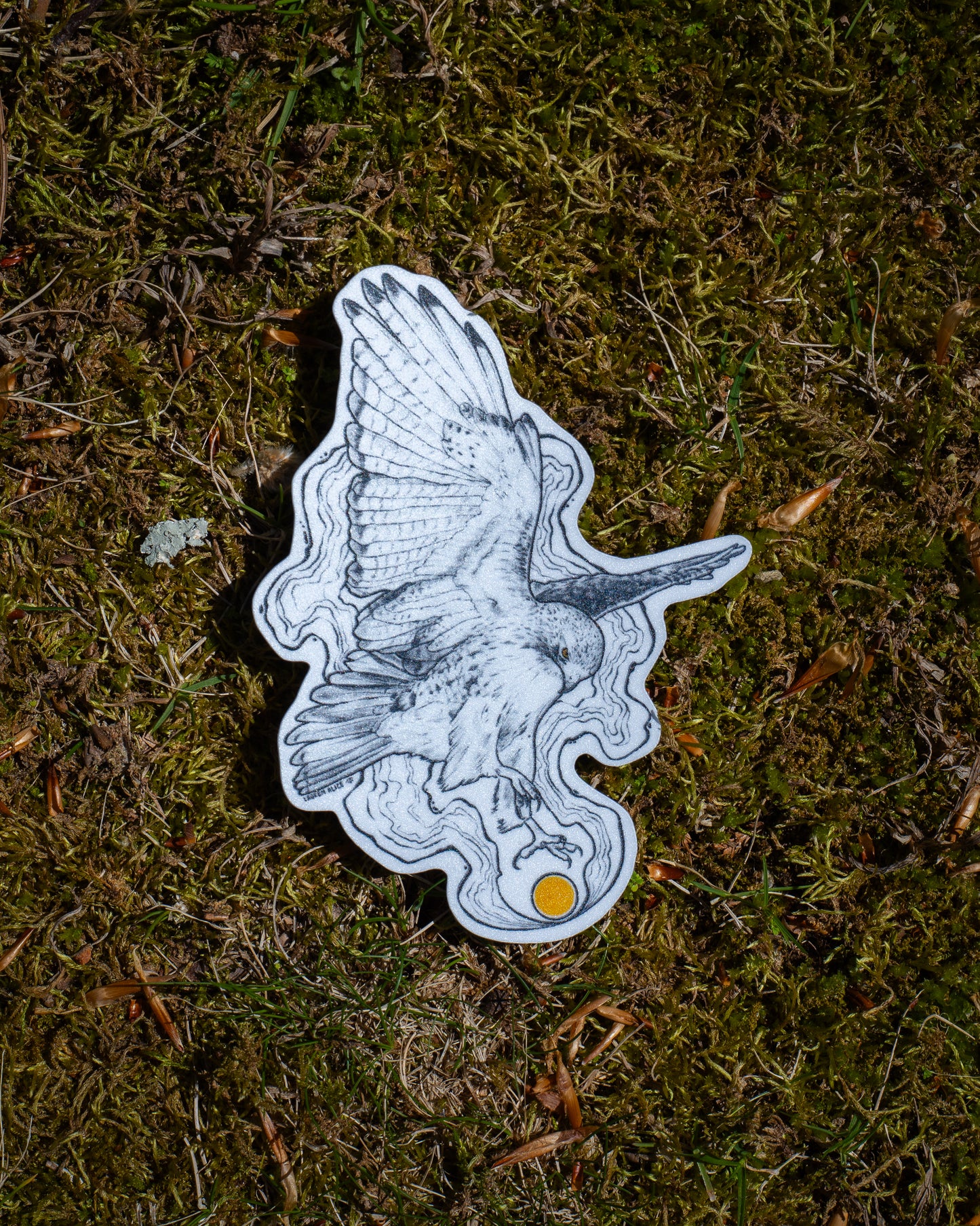 Hawk Sticker