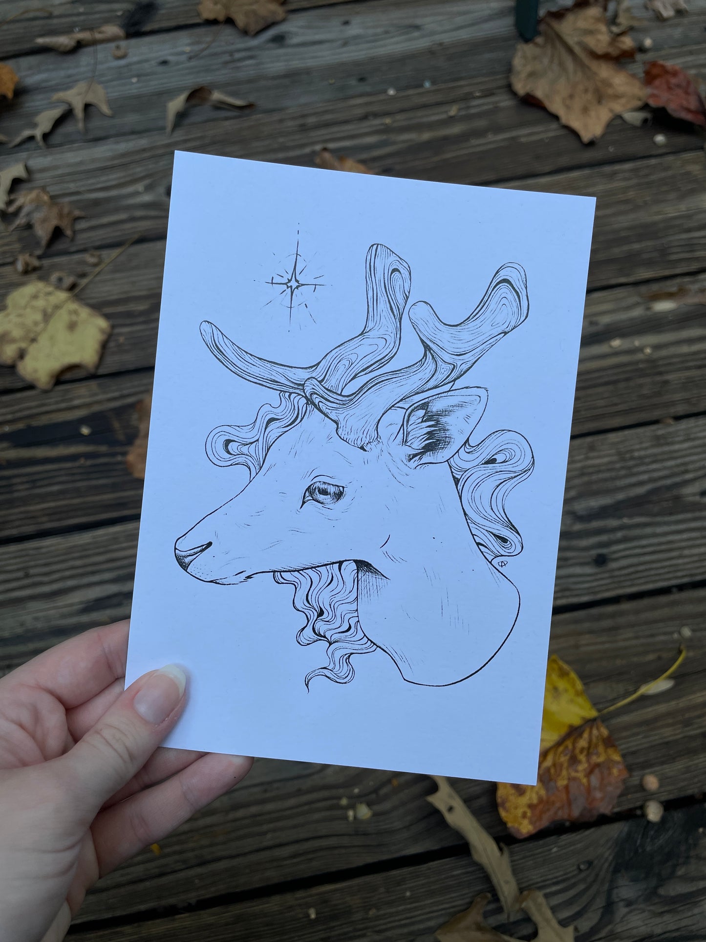 Star Deer Illustration Print