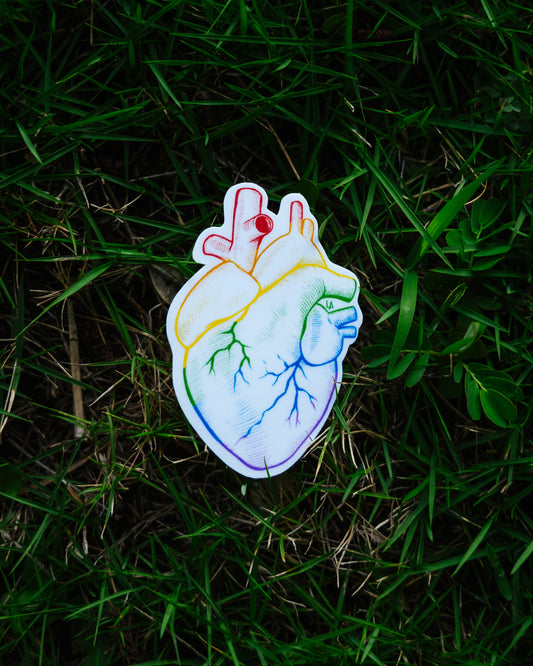 Gay Pride Heart Sticker