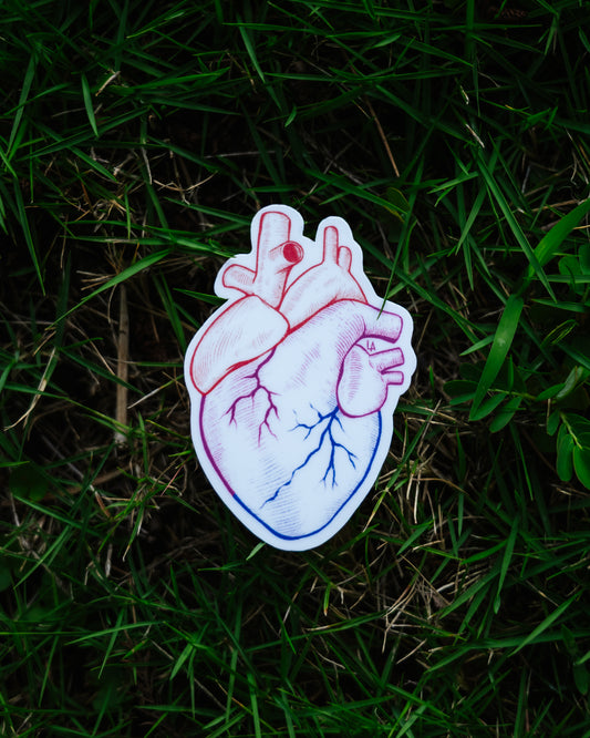 Bisexual Pride Heart Sticker