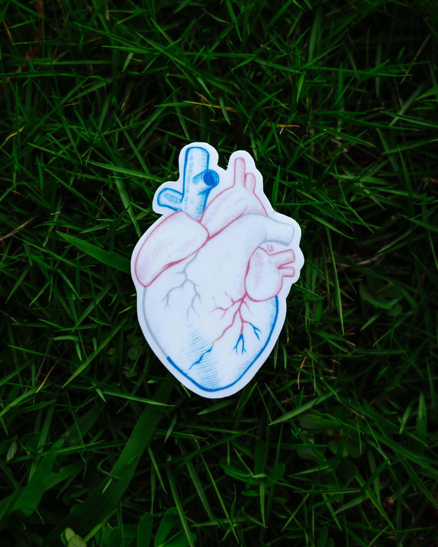 Trans Pride Heart Sticker