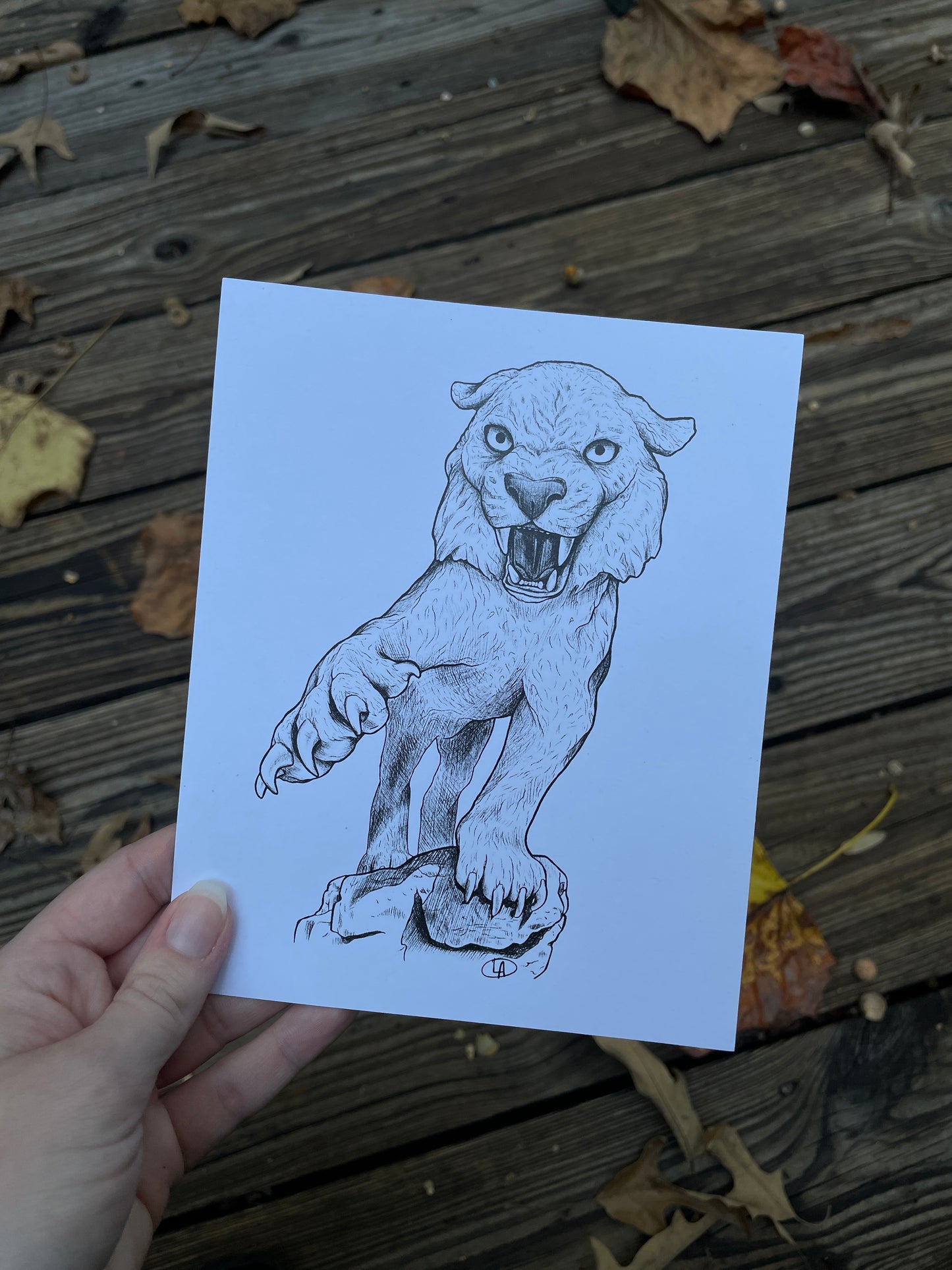 Catamount Illustration Print
