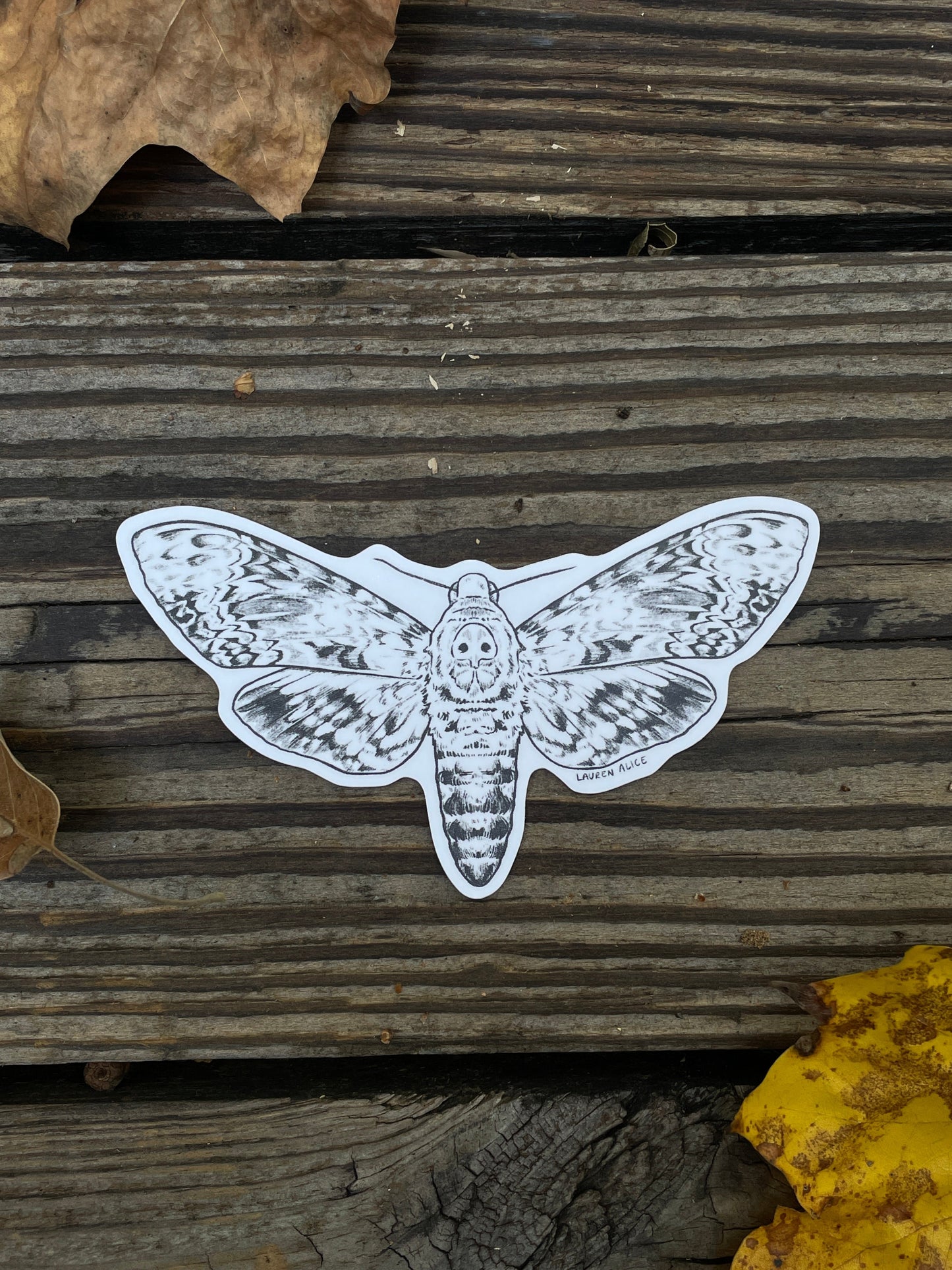 Death's-head Hawkmoth Sticker