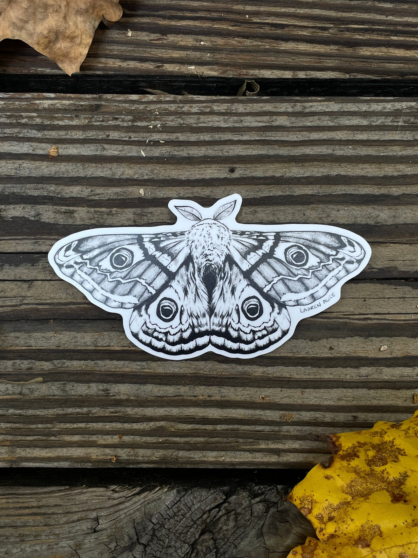 Polyphemus Moth Sticker