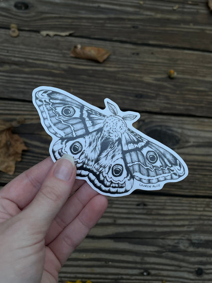 Polyphemus Moth Sticker
