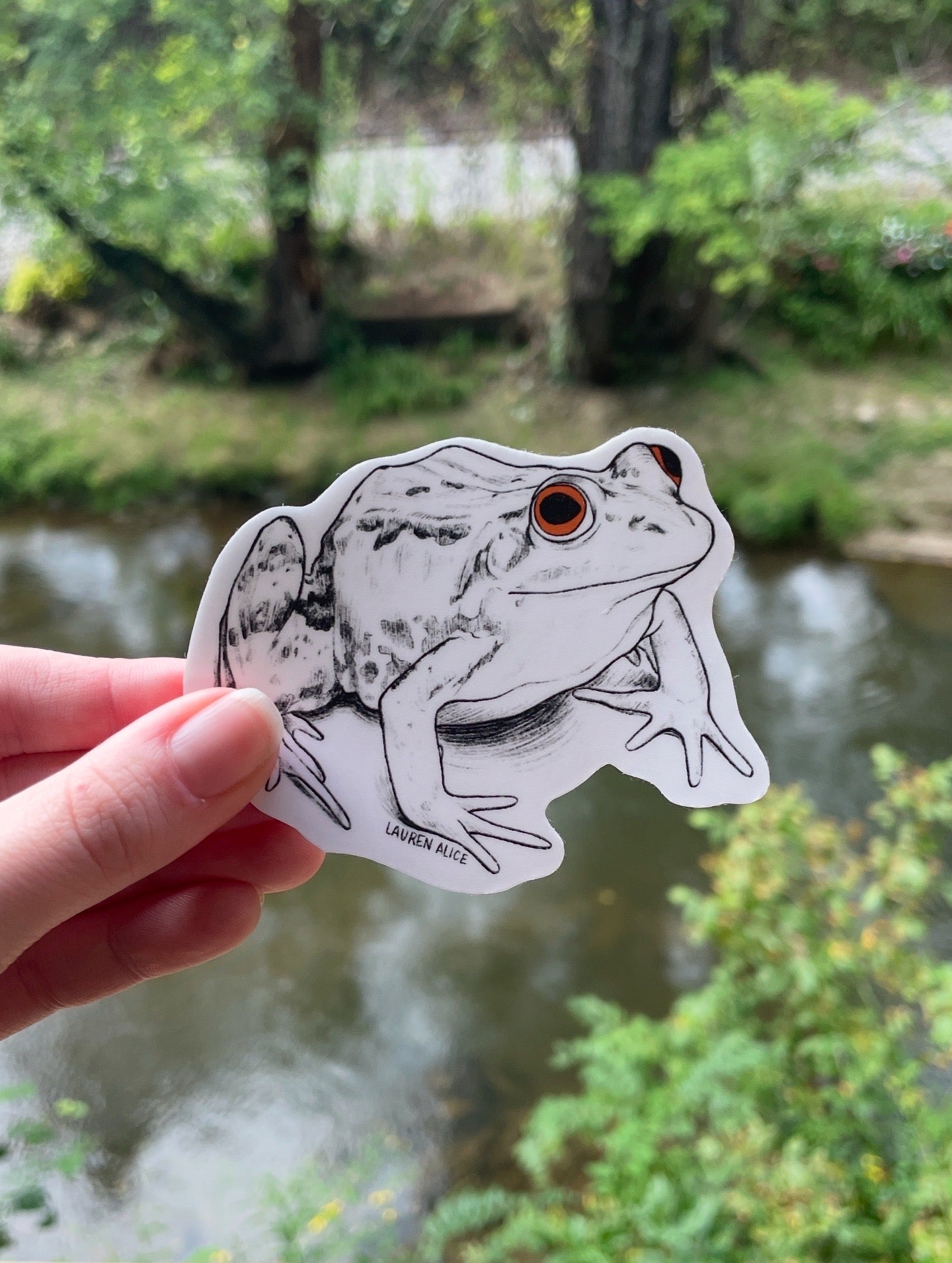 Frog Sticker
