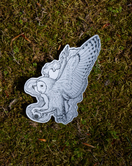Owl Sticker