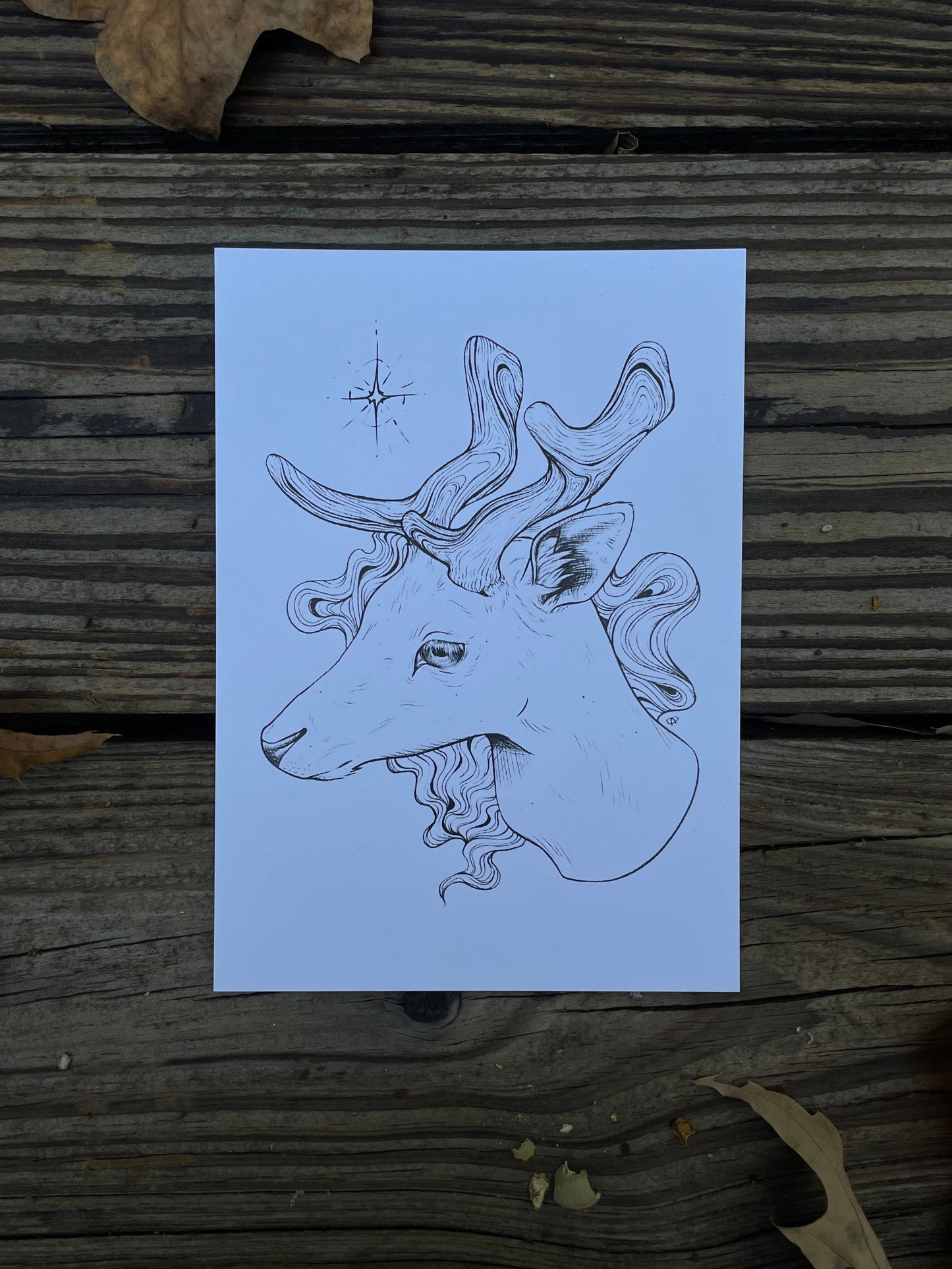 Star Deer Illustration Print